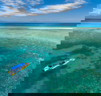 Ocean Safari Great Barrier Reef Experience in Cape Tribulation - Tourism Brisbane