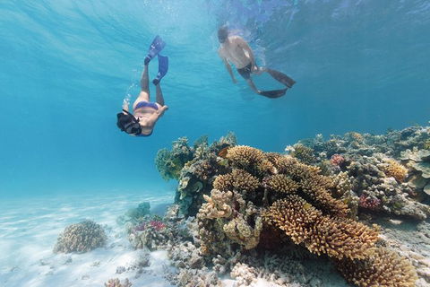 5-Day Fraser Island And Great Barrier Reef Tour - Brisbane Tourism 1
