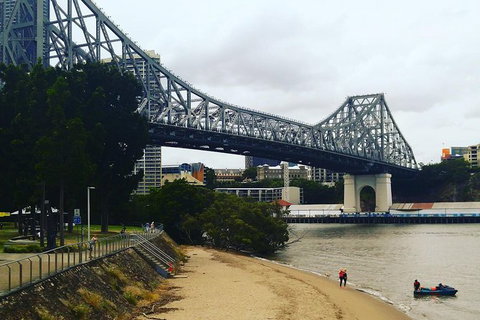 Brisbane River Guided Evening Tour By Kayak - Our Most Popular Tour - Tourism Brisbane 6