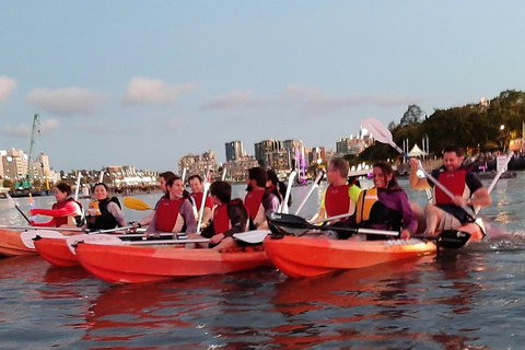 Brisbane River Guided Evening Tour By Kayak - Our Most Popular Tour - Tourism Brisbane 4