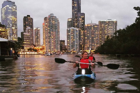 Brisbane River Guided Evening Tour By Kayak - Our Most Popular Tour - Tourism Brisbane 2