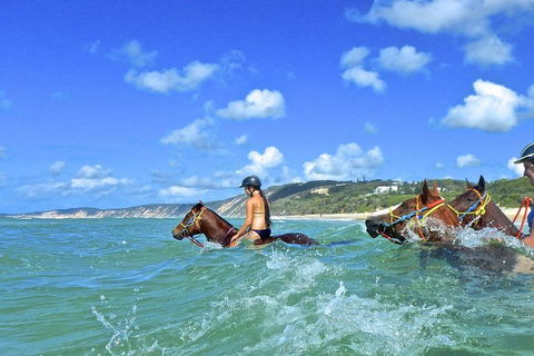 Horse Swimming Ride From Rainbow Beach - Tourism Brisbane 0
