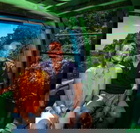 Skyrail Rainforest Cableway Day Trip from Palm Cove - Tourism Brisbane