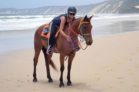 Rainbow Beach Horse Ride - Tourism Brisbane 2