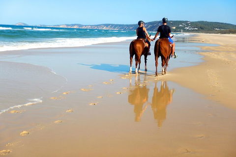 Rainbow Beach Horse Ride - Tourism Brisbane 3
