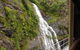 Kuranda Full-Day Small-Group Tour From Port Douglas - thumb 7