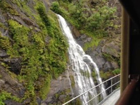 Kuranda Full-Day Small-Group Tour From Port Douglas - Tourism Brisbane 7