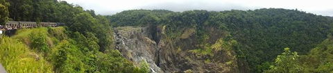 Kuranda Full-Day Small-Group Tour From Port Douglas - Tourism Brisbane 3