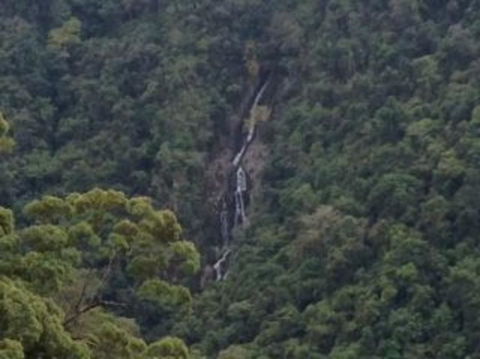 Kuranda Full-Day Small-Group Tour From Port Douglas - Tourism Brisbane 9