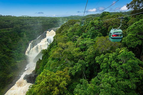 Kuranda Full-Day Small-Group Tour From Port Douglas - Tourism Brisbane 13