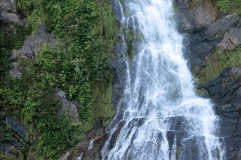 Kuranda Full-Day Small-Group Tour From Port Douglas - Tourism Brisbane 14