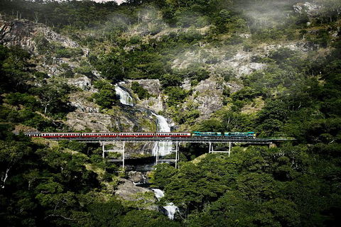 Kuranda Full-Day Small-Group Tour From Port Douglas - Tourism Brisbane 16