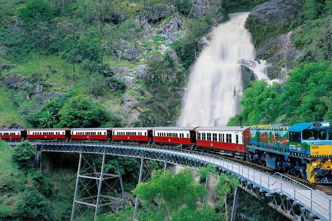 Kuranda Full-Day Small-Group Tour From Port Douglas - Tourism Brisbane 11