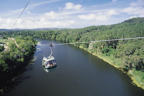 Kuranda Full-Day Small-Group Tour From Port Douglas - Tourism Brisbane 12