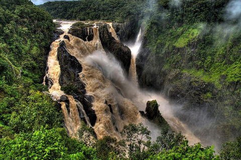 Kuranda Full-Day Small-Group Tour From Port Douglas - Tourism Brisbane 19
