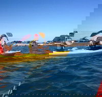 Port Douglas Half-Day Kayak Tour - Tourism Brisbane