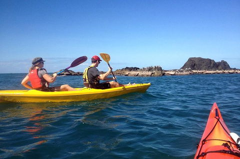 Port Douglas Half-Day Kayak Tour - Tourism Brisbane 0