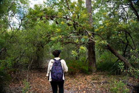 Pack-free Camping: Lake McKenzie Central Hike - 2 Days - Brisbane 4u 1