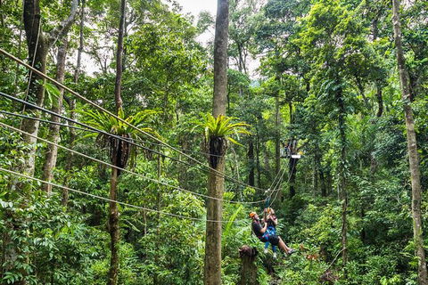 Cape Tribulation And Jungle Surfing Adventure Day From Port Douglas - Tourism Brisbane 0