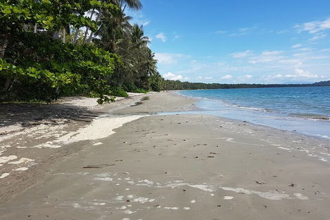 Airport Transfers Between Cairns Airport And Port Douglas - Tourism Brisbane 4