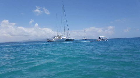 Wavedancer Low Isles Great Barrier Reef Sailing Cruise From Port Douglas - Tourism Brisbane 3