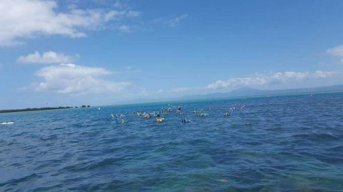 Wavedancer Low Isles Great Barrier Reef Sailing Cruise From Port Douglas - Tourism Brisbane 4