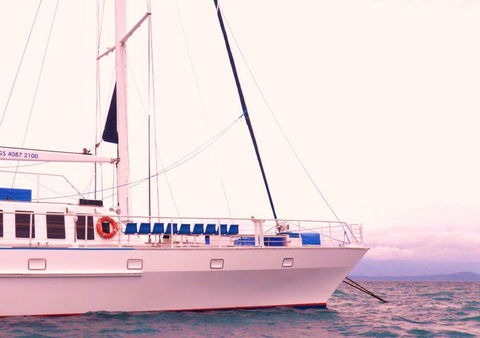 Wavedancer Low Isles Great Barrier Reef Sailing Cruise From Port Douglas - Tourism Brisbane 8
