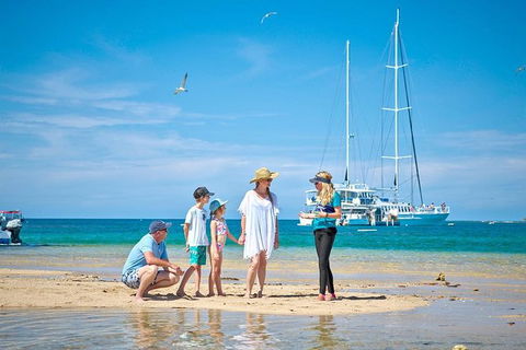 Wavedancer Low Isles Great Barrier Reef Sailing Cruise From Port Douglas - Tourism Brisbane 16
