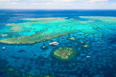 Quicksilver Outer Great Barrier Reef Snorkel Cruise From Palm Cove - Tourism Brisbane 9