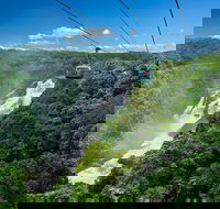 Skyrail Rainforest Cableway Day Trip from Port Douglas - Tourism Brisbane