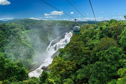 Skyrail Rainforest Cableway Day Trip From Port Douglas - Tourism Brisbane 2