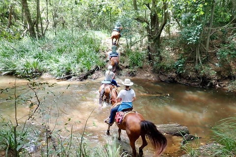 Country Day Ride From Mt Goomboorian With Rainbow Beach Horse Rides - Tourism Brisbane 1