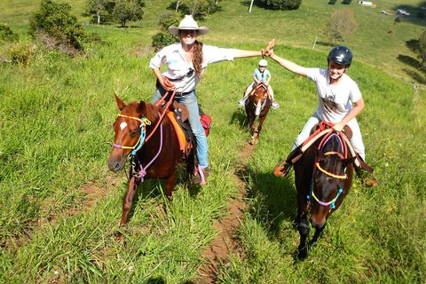 Country Day Ride From Mt Goomboorian With Rainbow Beach Horse Rides - Tourism Brisbane 0