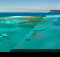 Great Barrier Reef Dive and Snorkel Cruise from Mission Beach - Tourism Brisbane