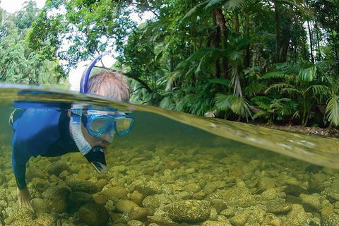 Mossman River Drift Snorkelling From Port Douglas Or Mossman - Tourism Brisbane 1