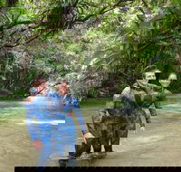 Mossman River Drift Snorkelling from Port Douglas or Mossman - Tourism Brisbane