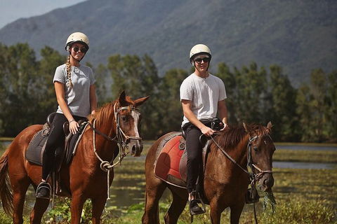 Blazing Saddles Horse Riding - Tourism Brisbane 6