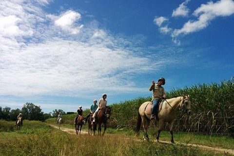 Blazing Saddles Horse Riding - Tourism Brisbane 4