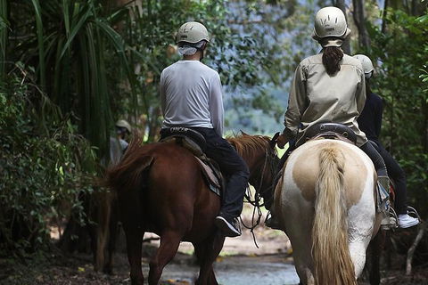 Blazing Saddles Horse Riding - Tourism Brisbane 2