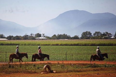 Blazing Saddles Horse Riding - Tourism Brisbane 7
