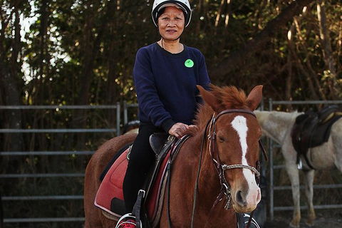 Blazing Saddles Horse Riding - Tourism Brisbane 5