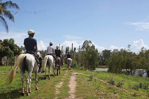 Blazing Saddles Horse Riding - Tourism Brisbane 3