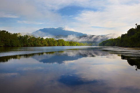Daintree River Dawn Cruise - Tourism Brisbane 5