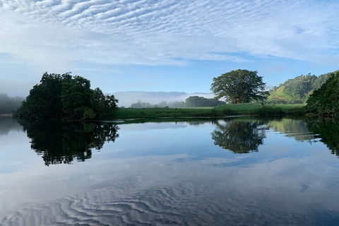 Daintree River Dawn Cruise - Tourism Brisbane 3
