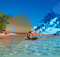 Half Day Low Isles Snorkelling Tour from Port Douglas - Tourism Brisbane