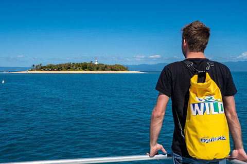 Half Day Low Isles Snorkelling Tour From Port Douglas - Tourism Brisbane 5