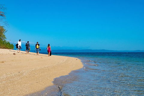 Half Day Low Isles Snorkelling Tour From Port Douglas - Tourism Brisbane 3