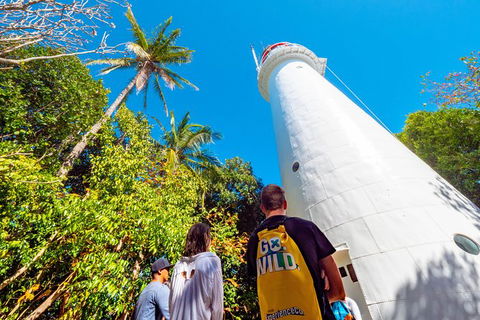 Half Day Low Isles Snorkelling Tour From Port Douglas - Tourism Brisbane 7