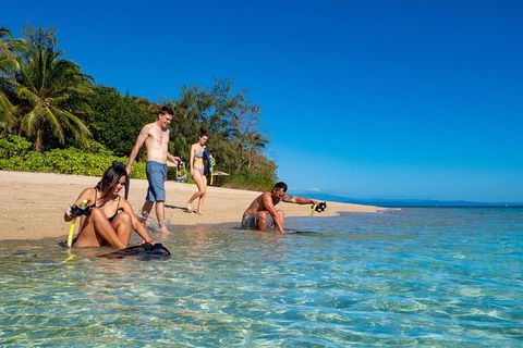 Half Day Low Isles Snorkelling Tour From Port Douglas - Tourism Brisbane 2
