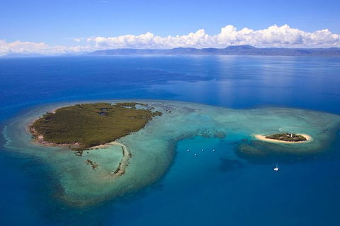 Half Day Low Isles Snorkelling Tour From Port Douglas - Tourism Brisbane 4